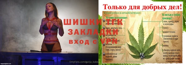 хмурый Михайловск