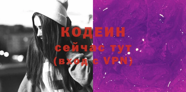 хмурый Михайловск