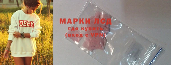 хмурый Михайловск