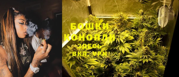 хмурый Михайловск