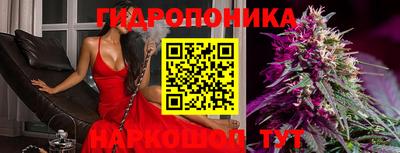 apvp Камышлов
